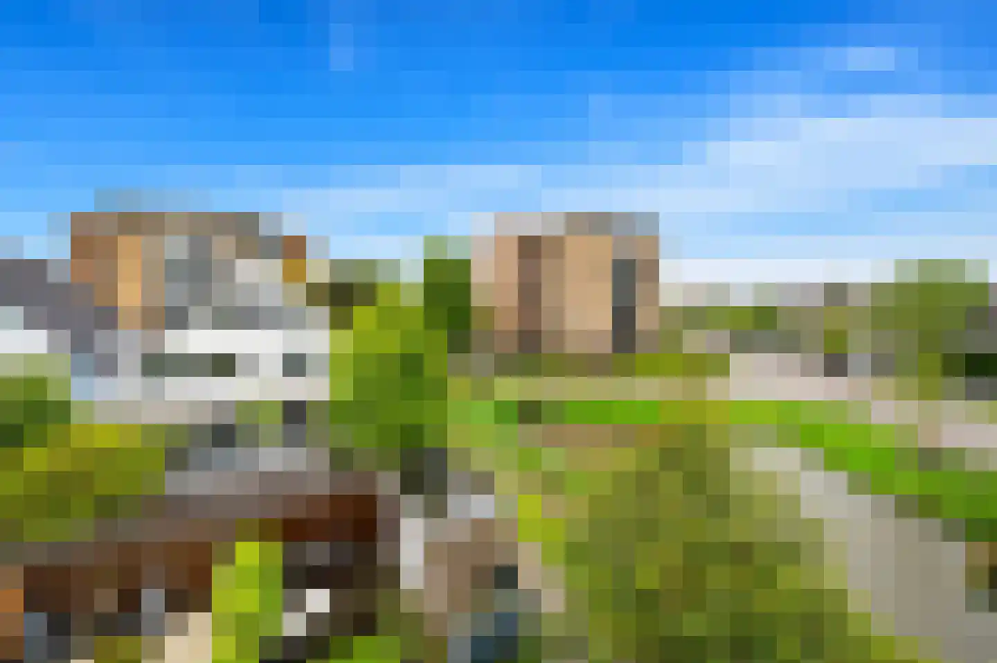 Pinksterbloem 2 Den Hoorn thumbnail 58