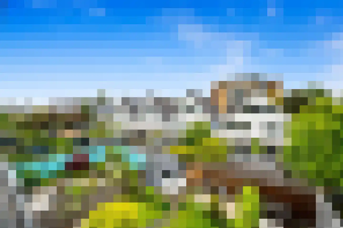 Pinksterbloem 2 Den Hoorn thumbnail 59