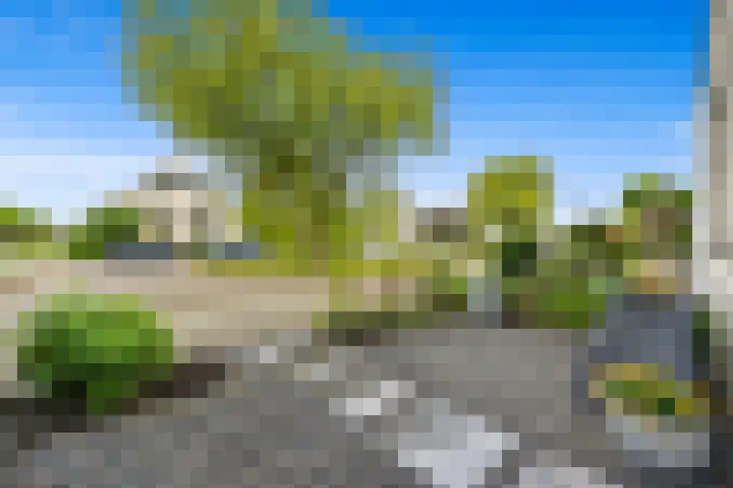 Pinksterbloem 2 Den Hoorn thumbnail 6