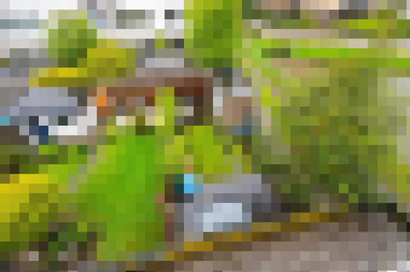 Pinksterbloem 2 Den Hoorn thumbnail 60
