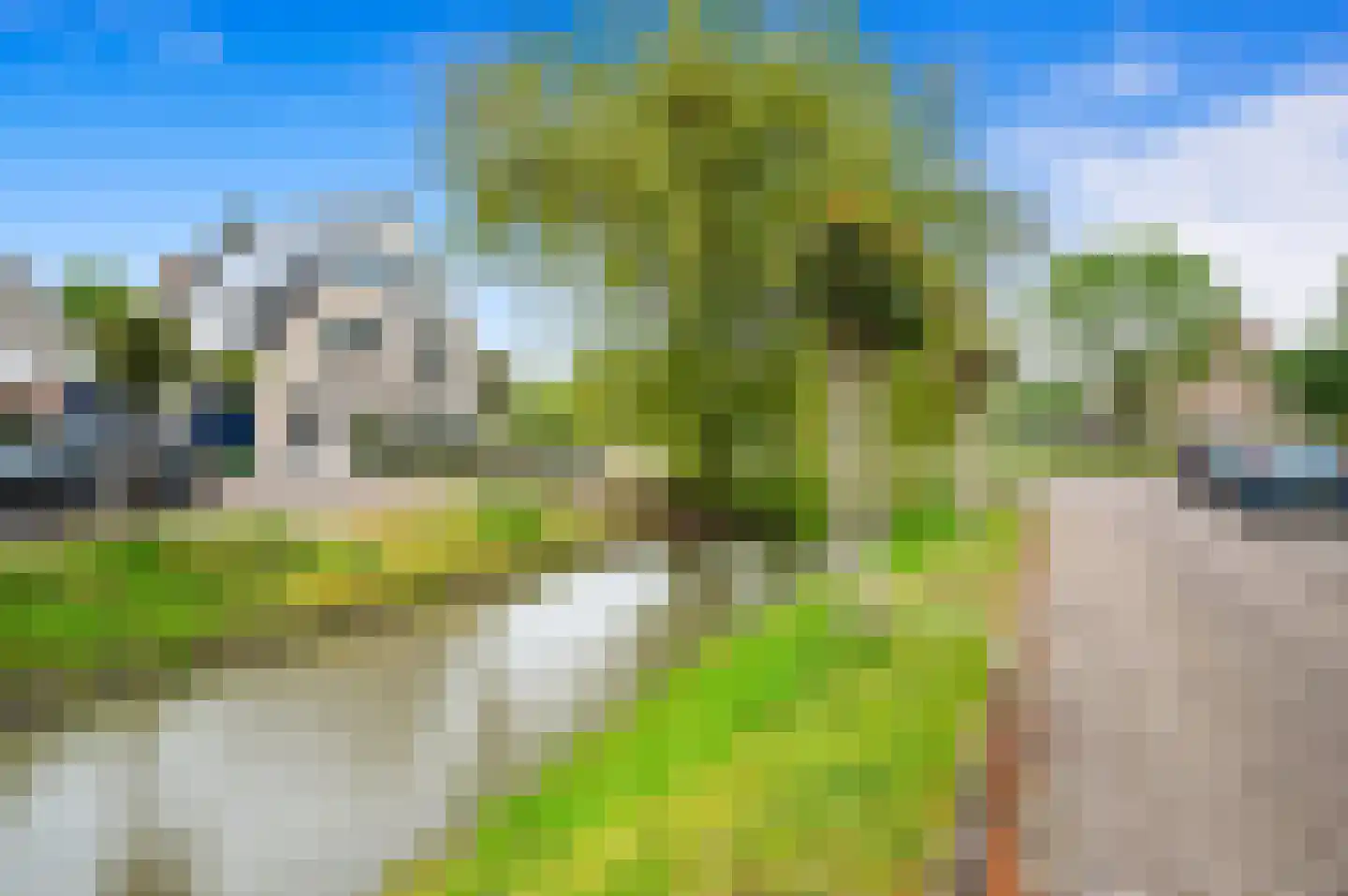 Pinksterbloem 2 Den Hoorn thumbnail 62