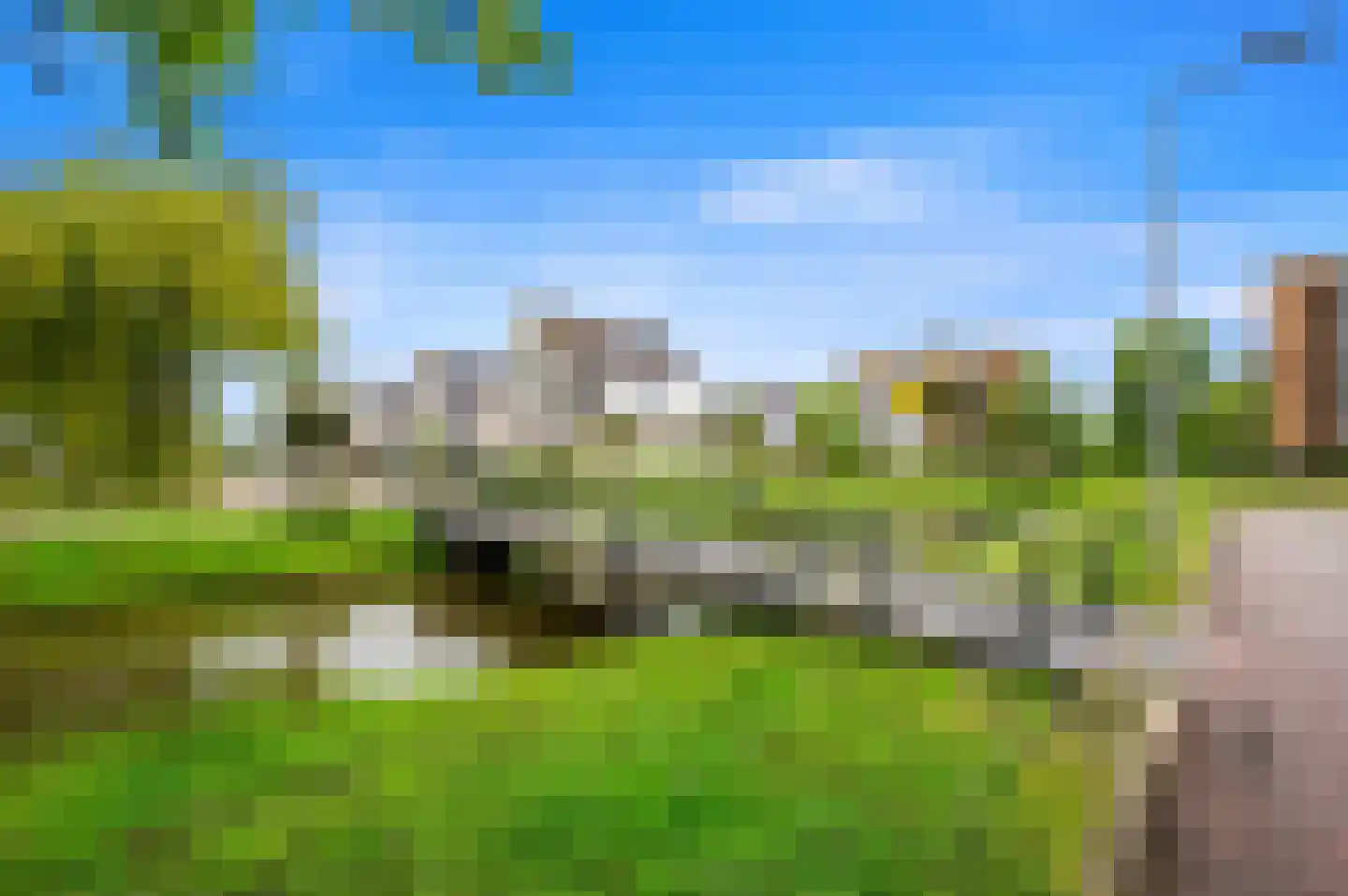 Pinksterbloem 2 Den Hoorn thumbnail 63