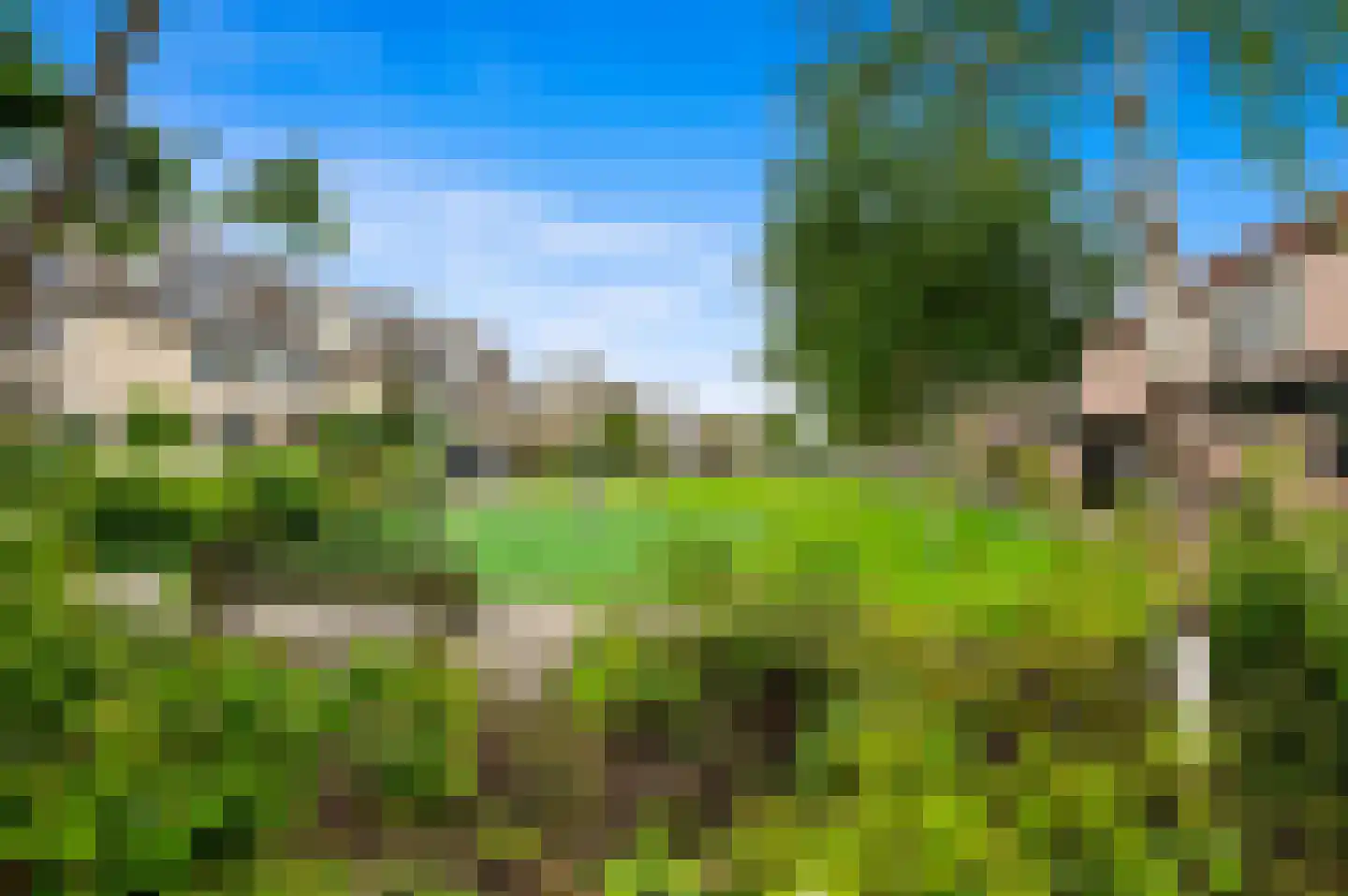 Pinksterbloem 2 Den Hoorn thumbnail 64
