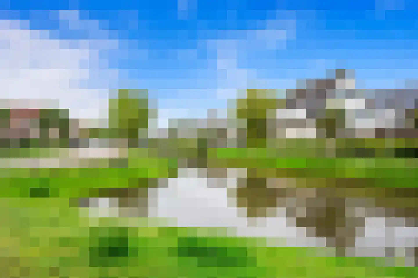 Pinksterbloem 2 Den Hoorn thumbnail 66