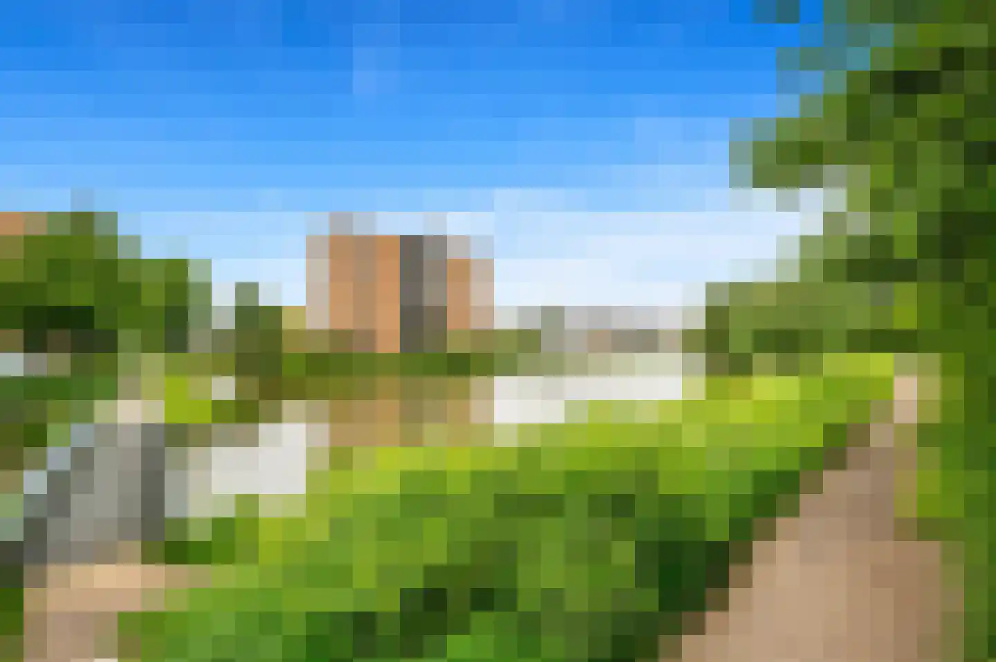 Pinksterbloem 2 Den Hoorn thumbnail 67