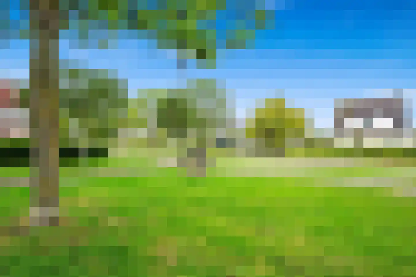 Pinksterbloem 2 Den Hoorn thumbnail 68
