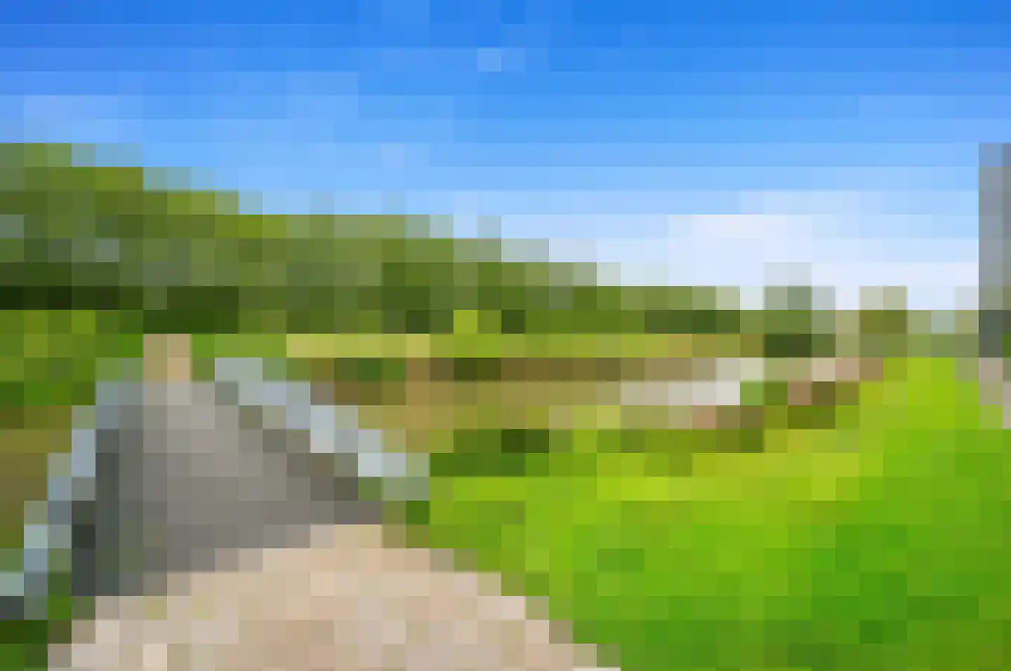 Pinksterbloem 2 Den Hoorn thumbnail 69