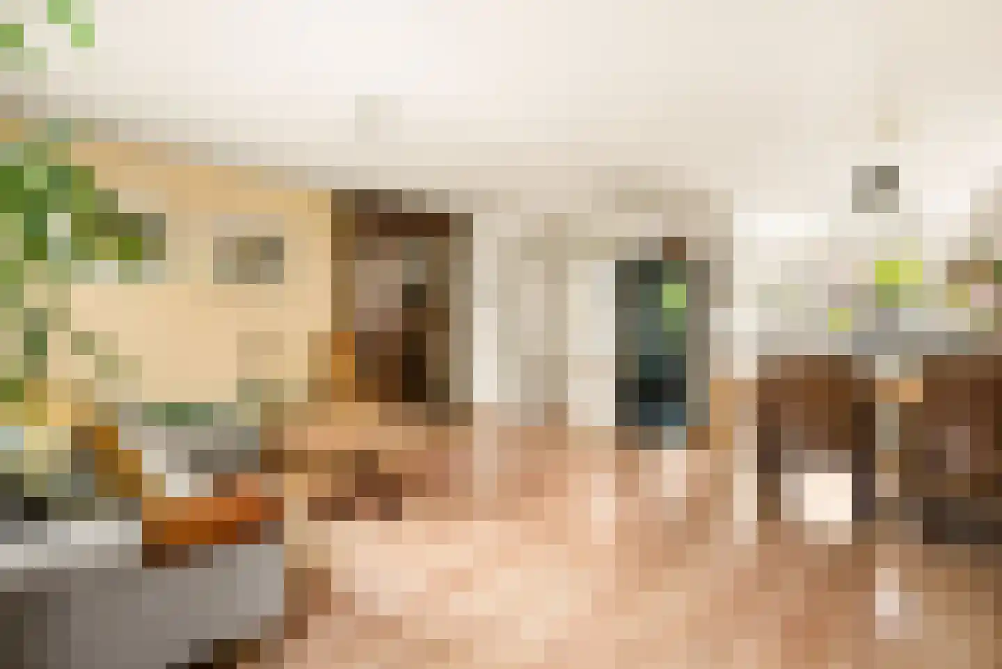 Pinksterbloem 2 Velserbroek thumbnail 11