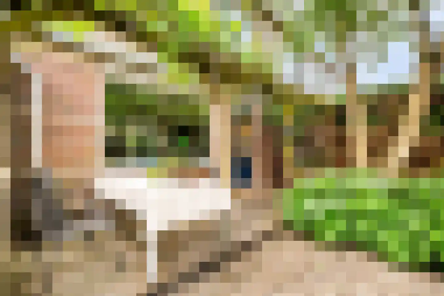 Pinksterbloem 2 Velserbroek thumbnail 23