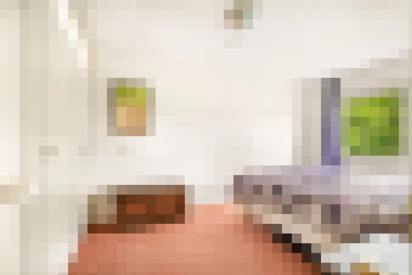 Pinksterbloem 2 Velserbroek thumbnail 31