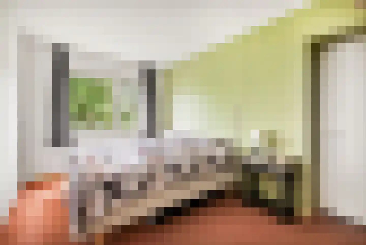 Pinksterbloem 2 Velserbroek thumbnail 32
