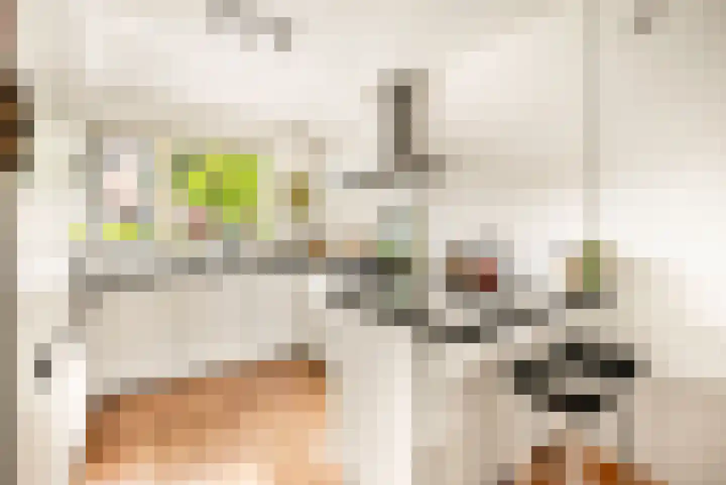 Pinksterbloem 2 Velserbroek thumbnail 5