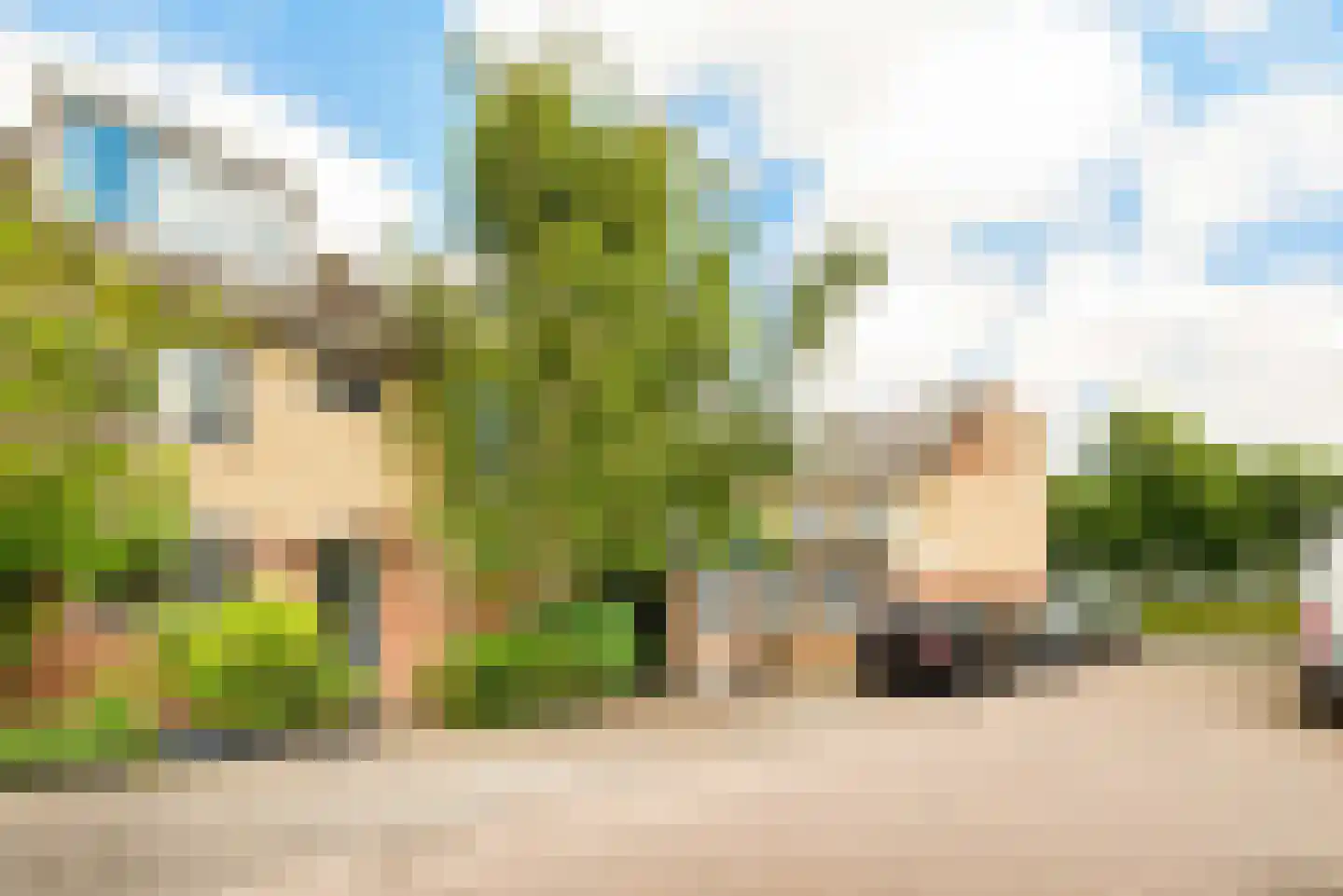 Pinksterbloem 2 Velserbroek thumbnail 6