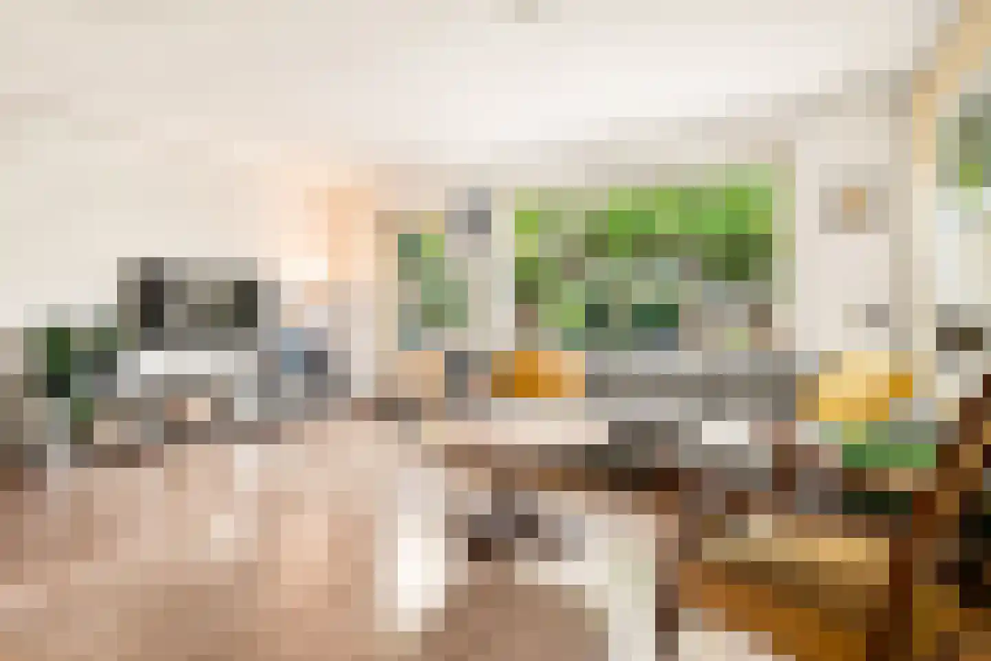 Pinksterbloem 2 Velserbroek thumbnail 9