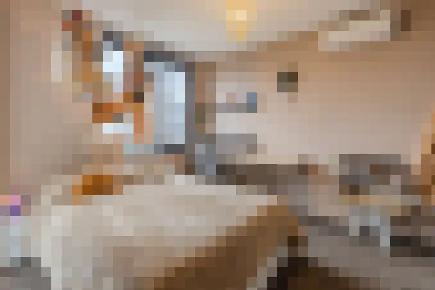Pinksterbloem 20 Eijsden thumbnail 21