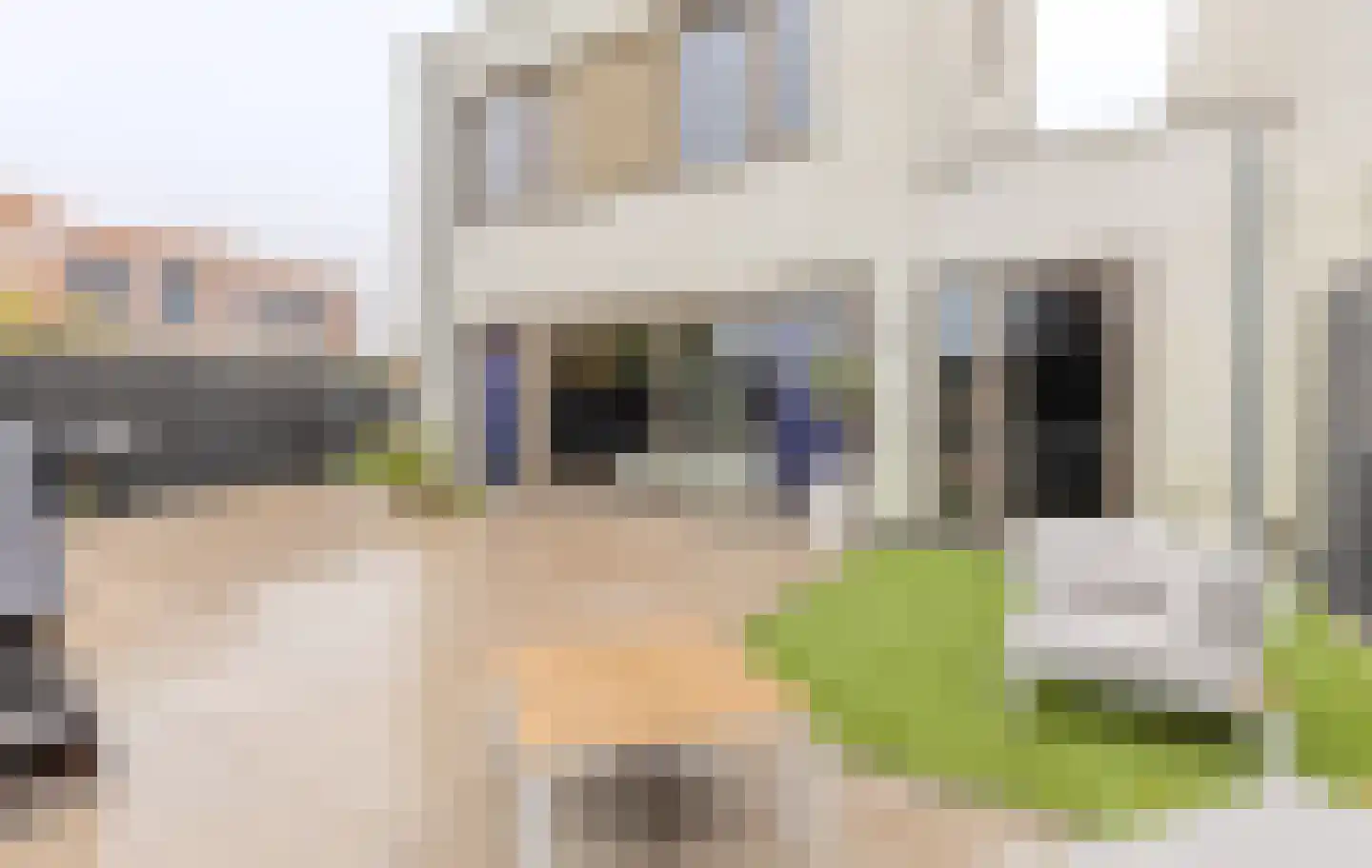 Pinksterbloem 20 Eijsden thumbnail 6
