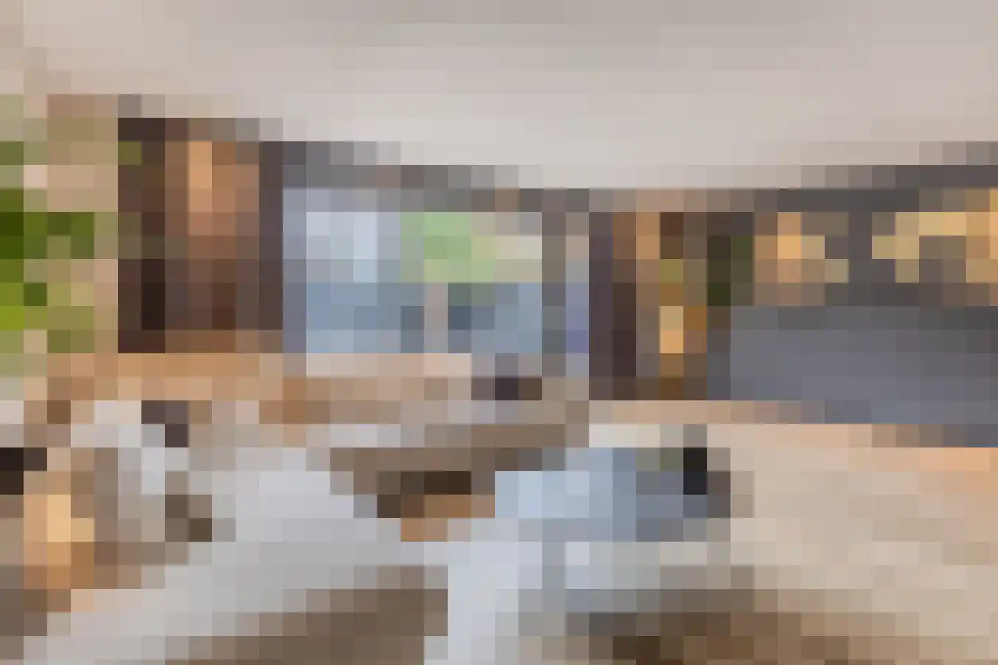 Pinksterbloem 20 Eijsden thumbnail 8