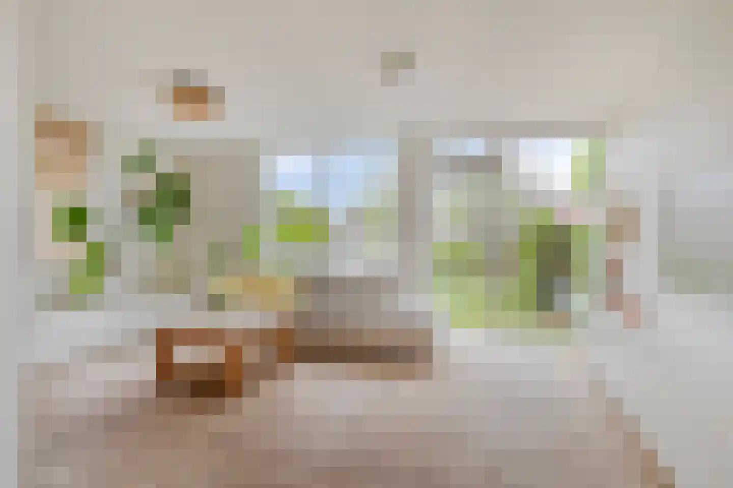 Pinksterbloem 20 Roden thumbnail 13