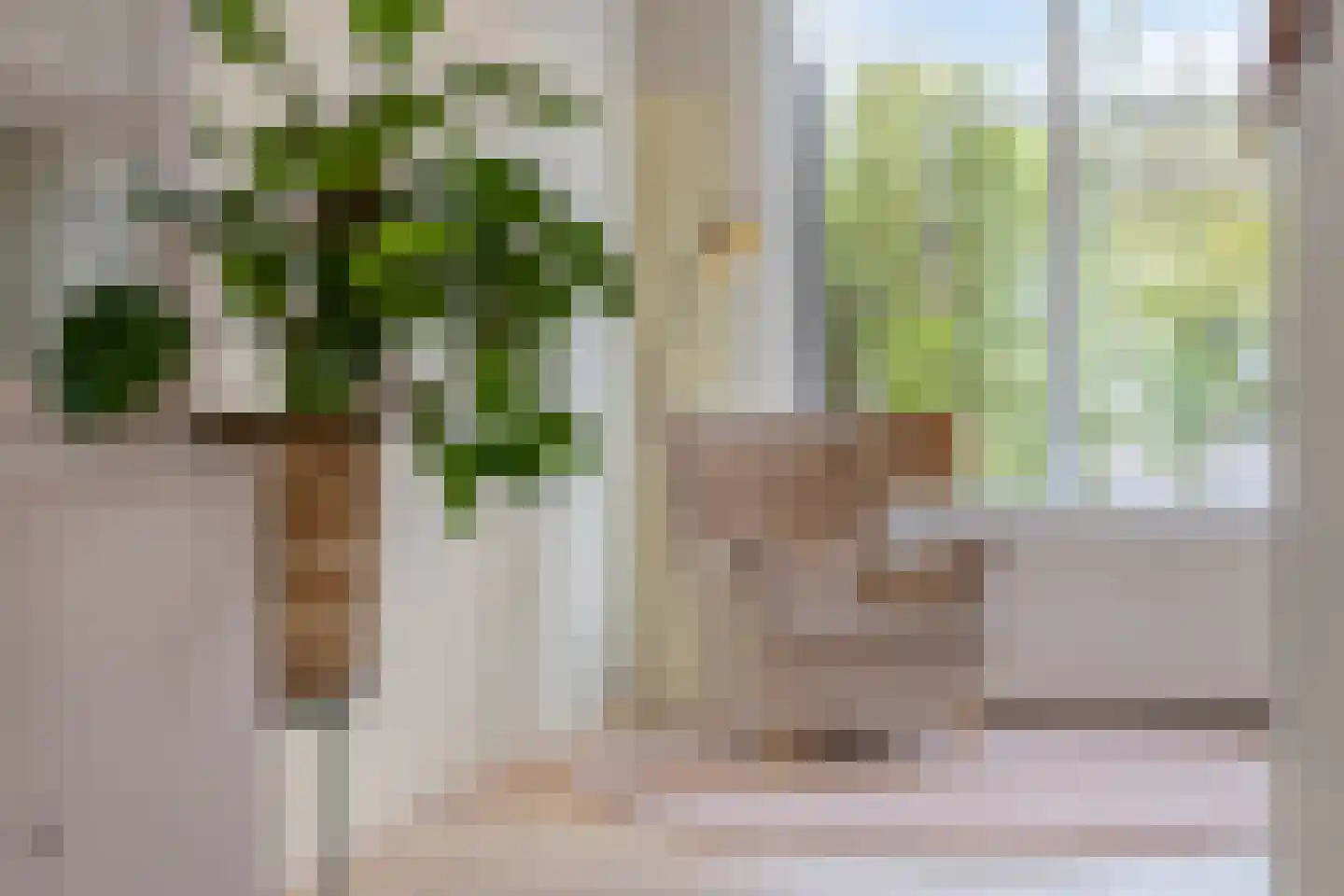 Pinksterbloem 20 Roden thumbnail 16
