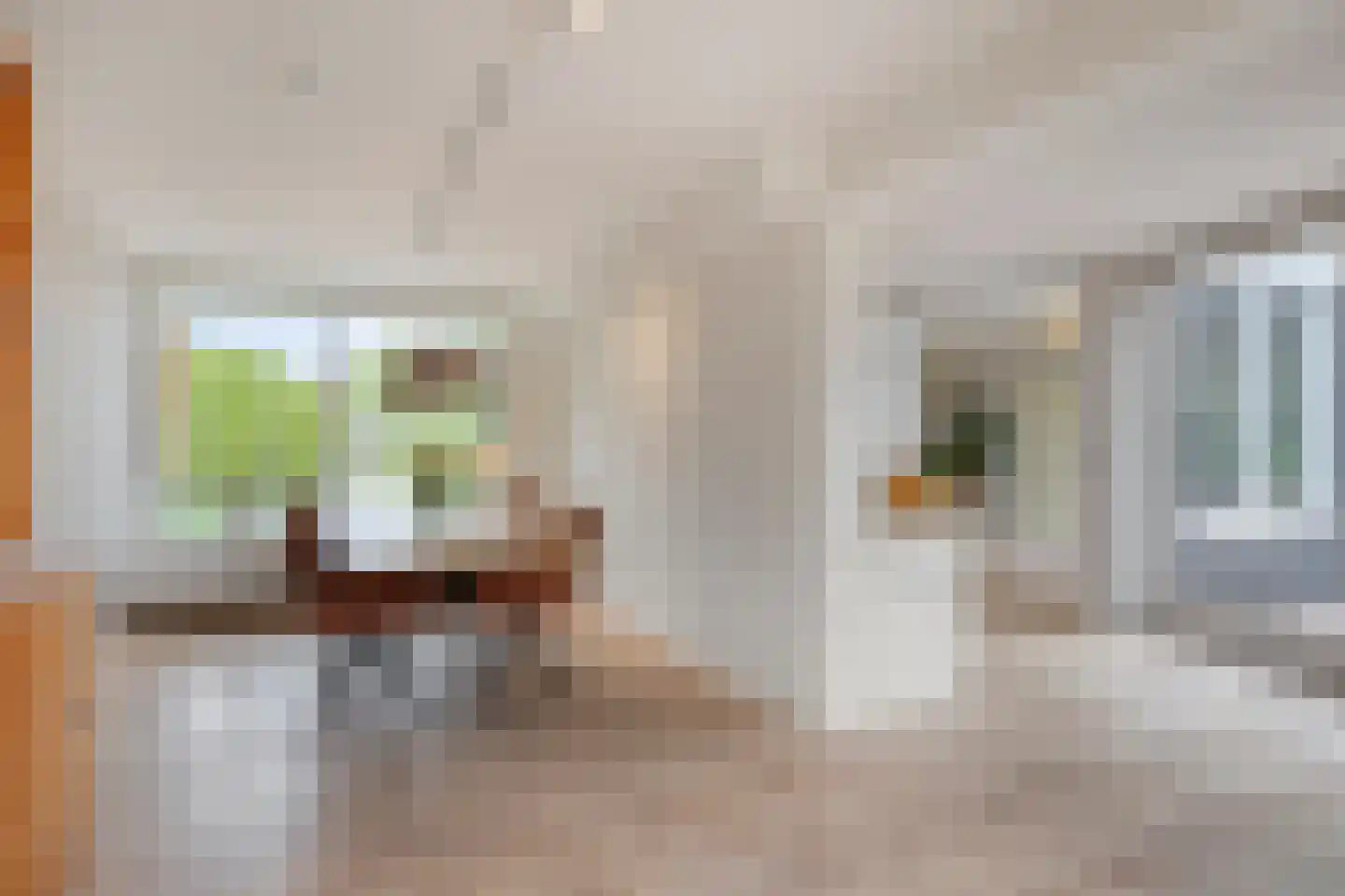 Pinksterbloem 20 Roden thumbnail 23