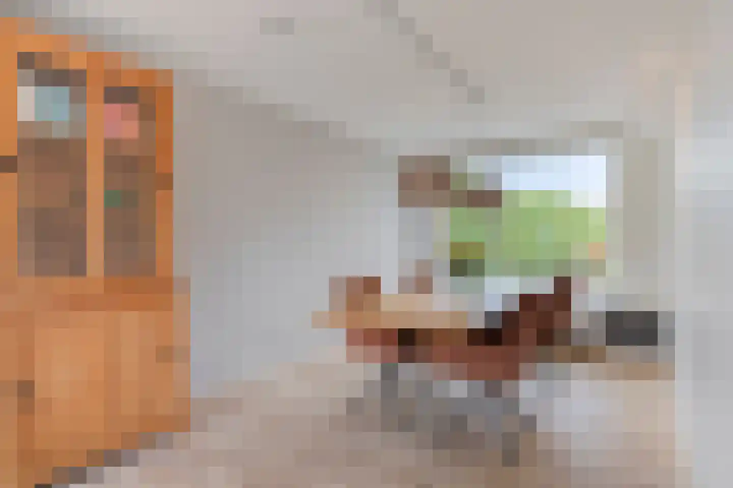 Pinksterbloem 20 Roden thumbnail 24