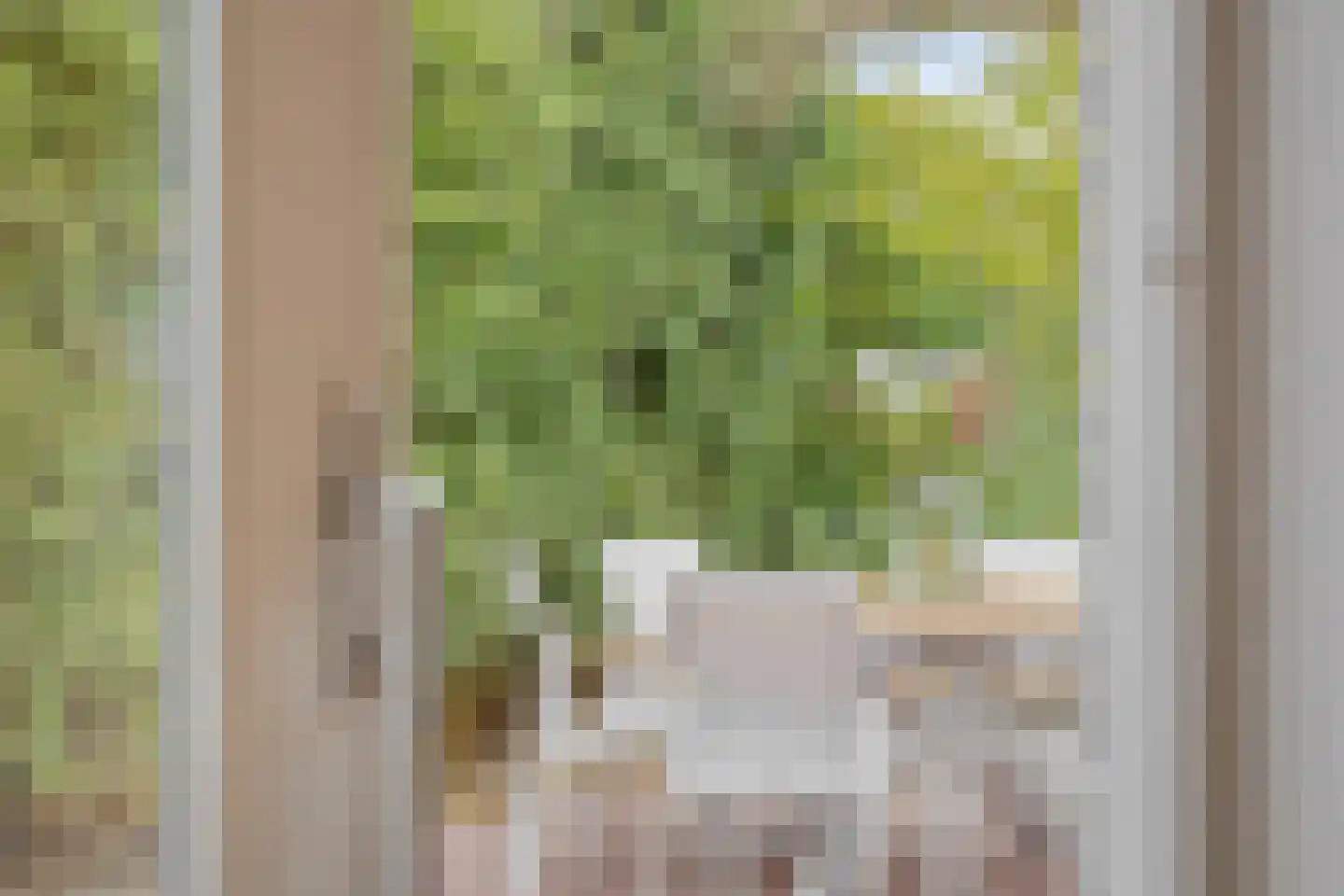 Pinksterbloem 20 Roden thumbnail 27