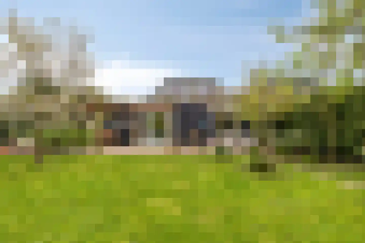 Pinksterbloem 20 Roden thumbnail 48