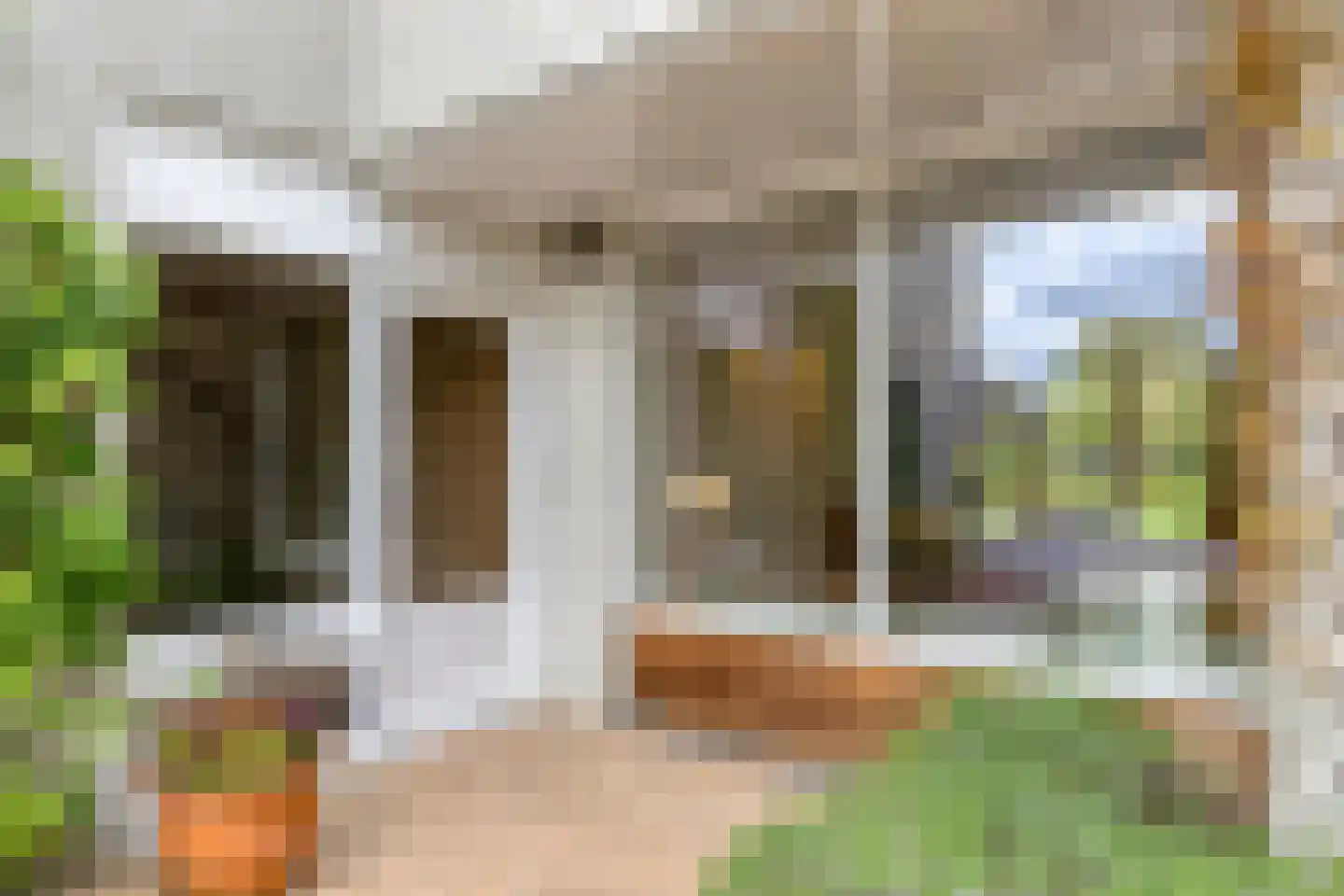 Pinksterbloem 20 Roden thumbnail 54