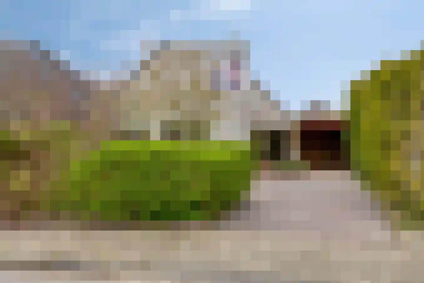 Pinksterbloem 20 Roden thumbnail 56