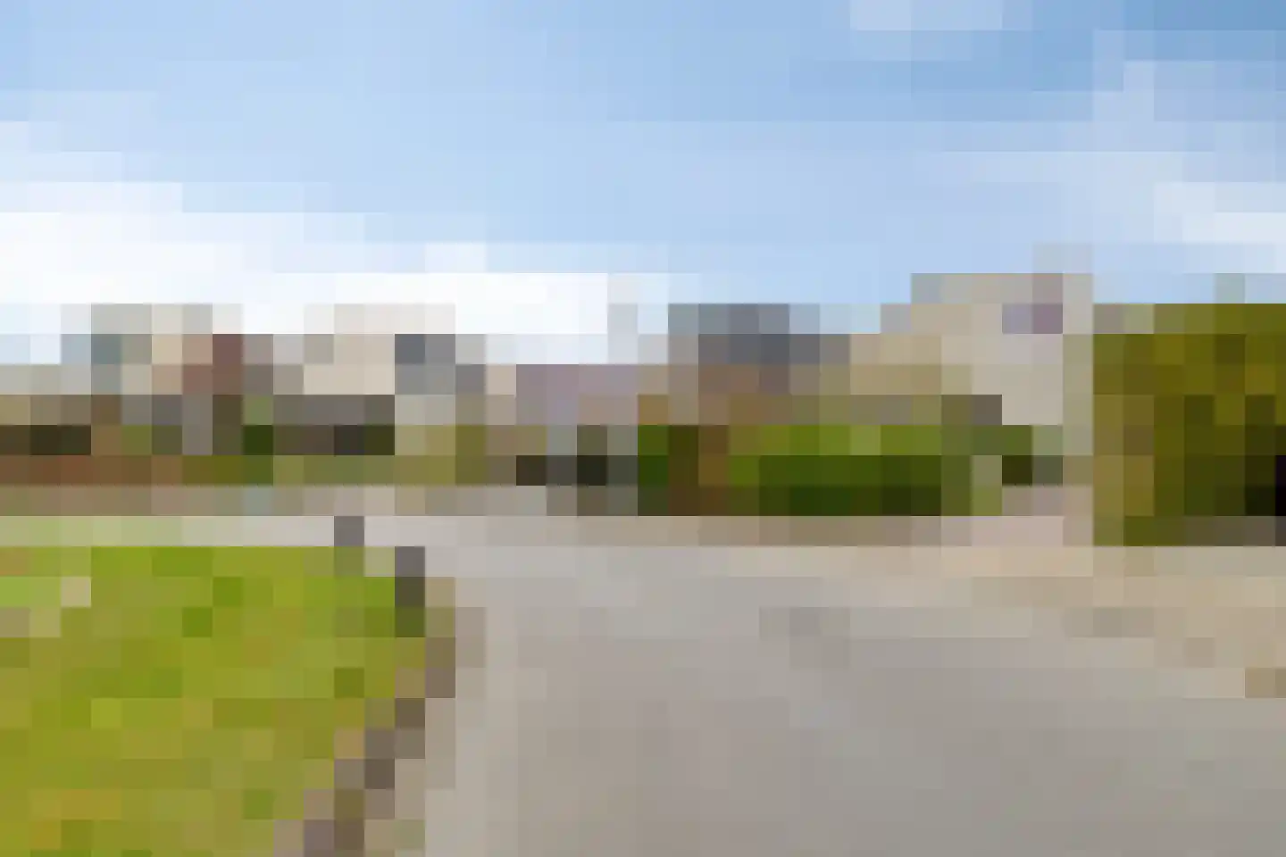 Pinksterbloem 20 Roden thumbnail 59