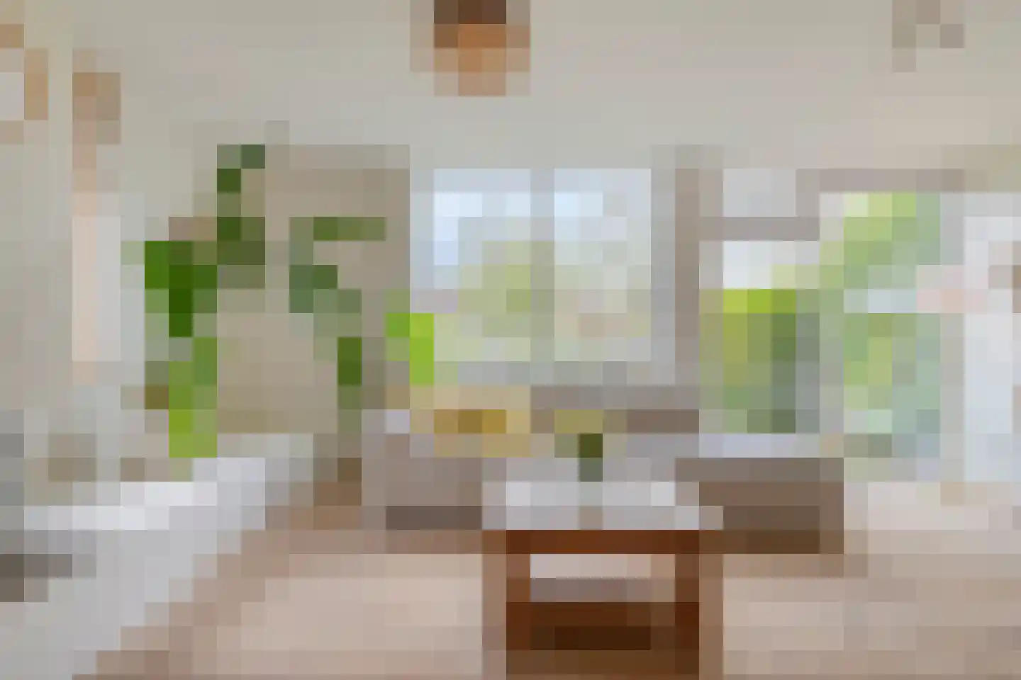 Pinksterbloem 20 Roden thumbnail 7