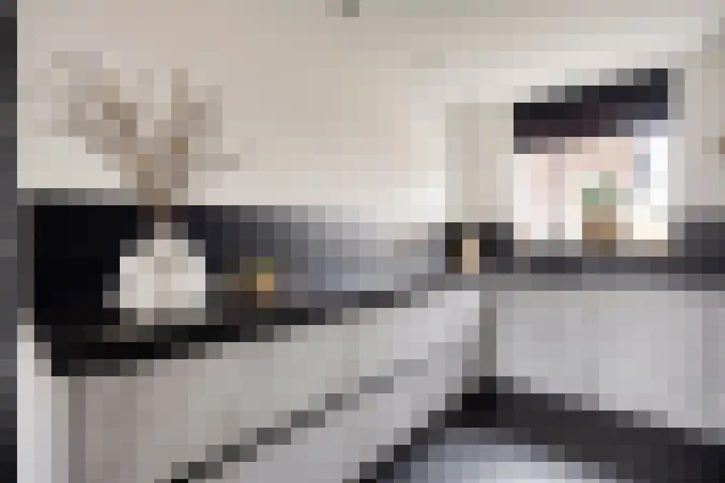 Pinksterbloem 22 Bergambacht thumbnail 20