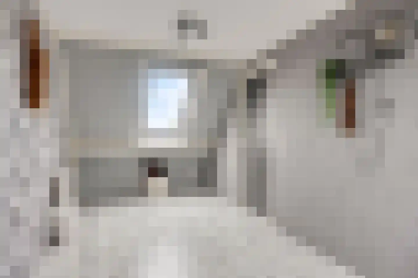 Pinksterbloem 22 Bergambacht thumbnail 40