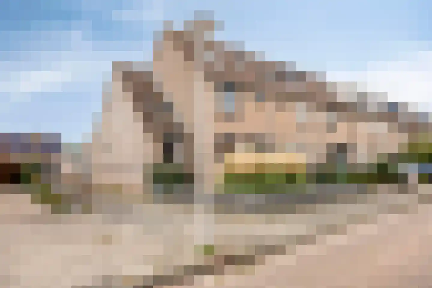 Pinksterbloem 22 Bergambacht thumbnail 42