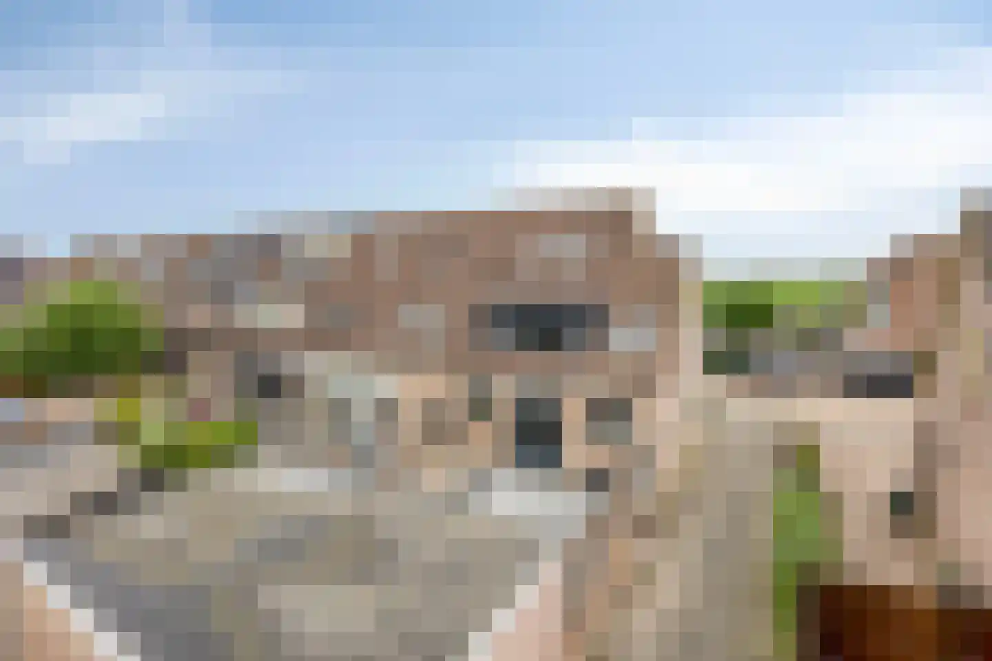 Pinksterbloem 22 Bergambacht thumbnail 43