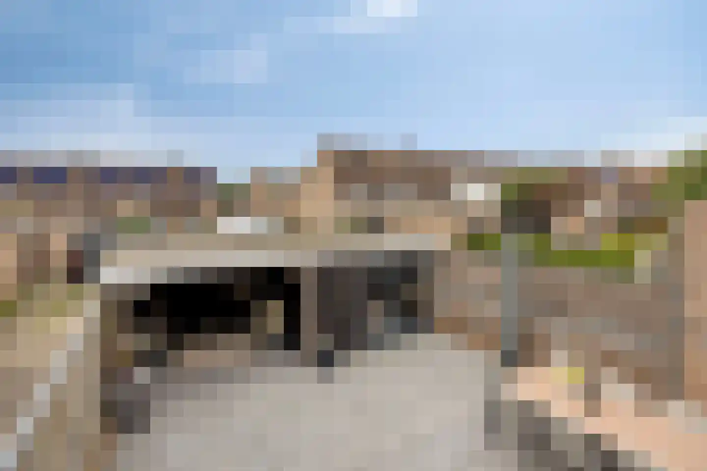 Pinksterbloem 22 Bergambacht thumbnail 45