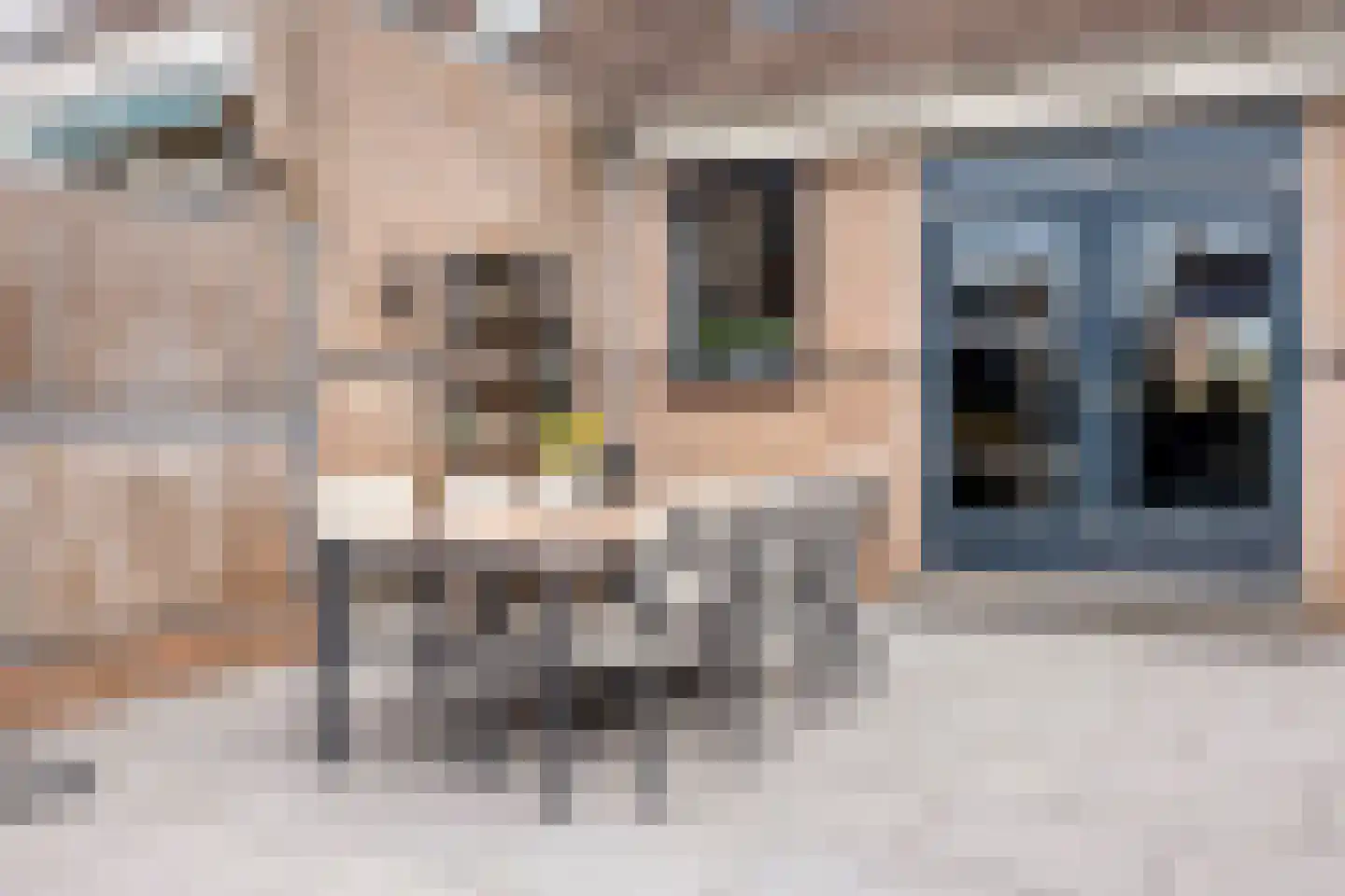 Pinksterbloem 22 Bergambacht thumbnail 47