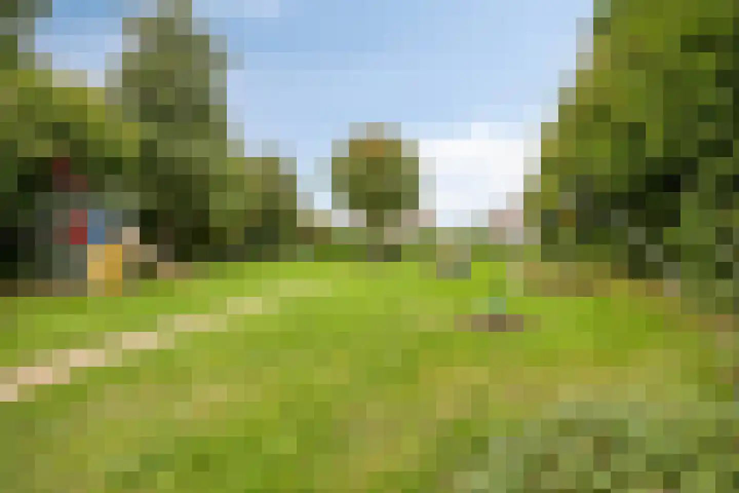 Pinksterbloem 22 Bergambacht thumbnail 51