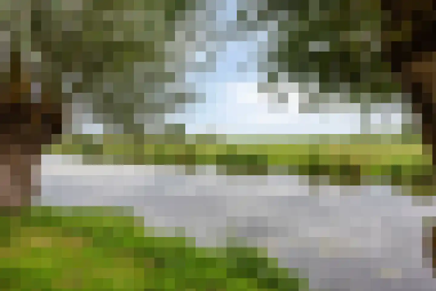 Pinksterbloem 22 Bergambacht thumbnail 52
