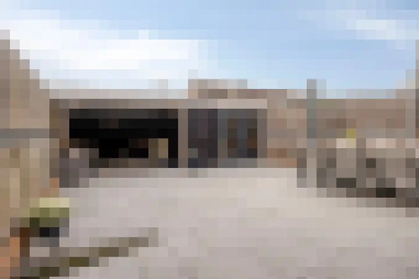 Pinksterbloem 22 Bergambacht thumbnail 9