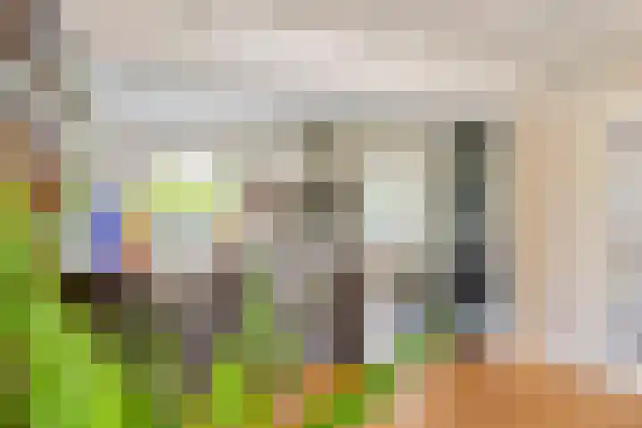 Pinksterbloem 23 Culemborg thumbnail 17