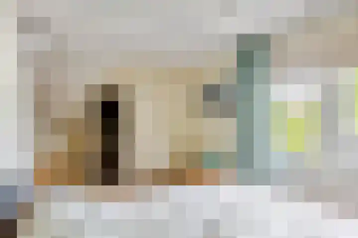Pinksterbloem 23 Culemborg thumbnail 32