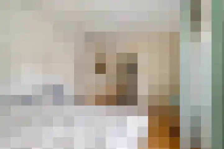 Pinksterbloem 23 Culemborg thumbnail 34