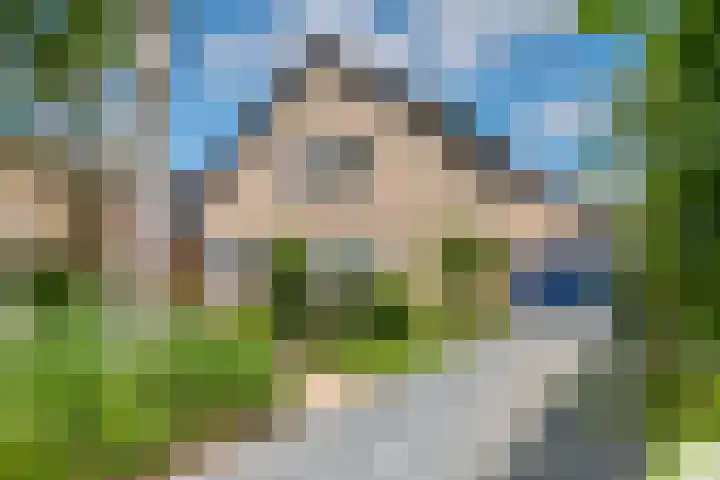 Pinksterbloem 23 Culemborg thumbnail 4