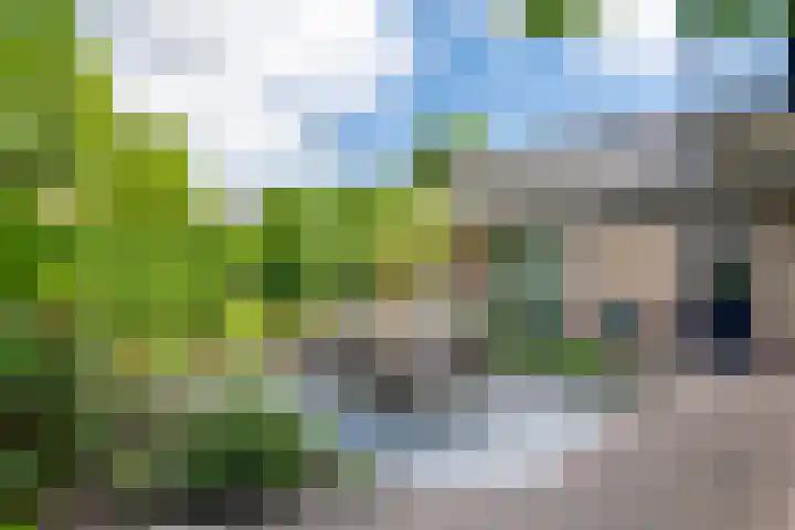 Pinksterbloem 23 Culemborg thumbnail 46
