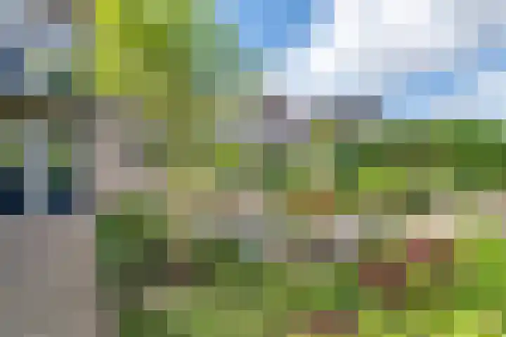 Pinksterbloem 23 Culemborg thumbnail 47
