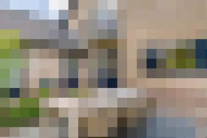 Pinksterbloem 23 Culemborg thumbnail 49