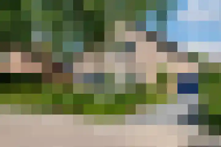 Pinksterbloem 23 Culemborg thumbnail 51