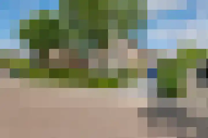Pinksterbloem 23 Culemborg thumbnail 52