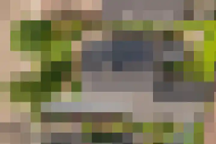 Pinksterbloem 23 Culemborg thumbnail 54